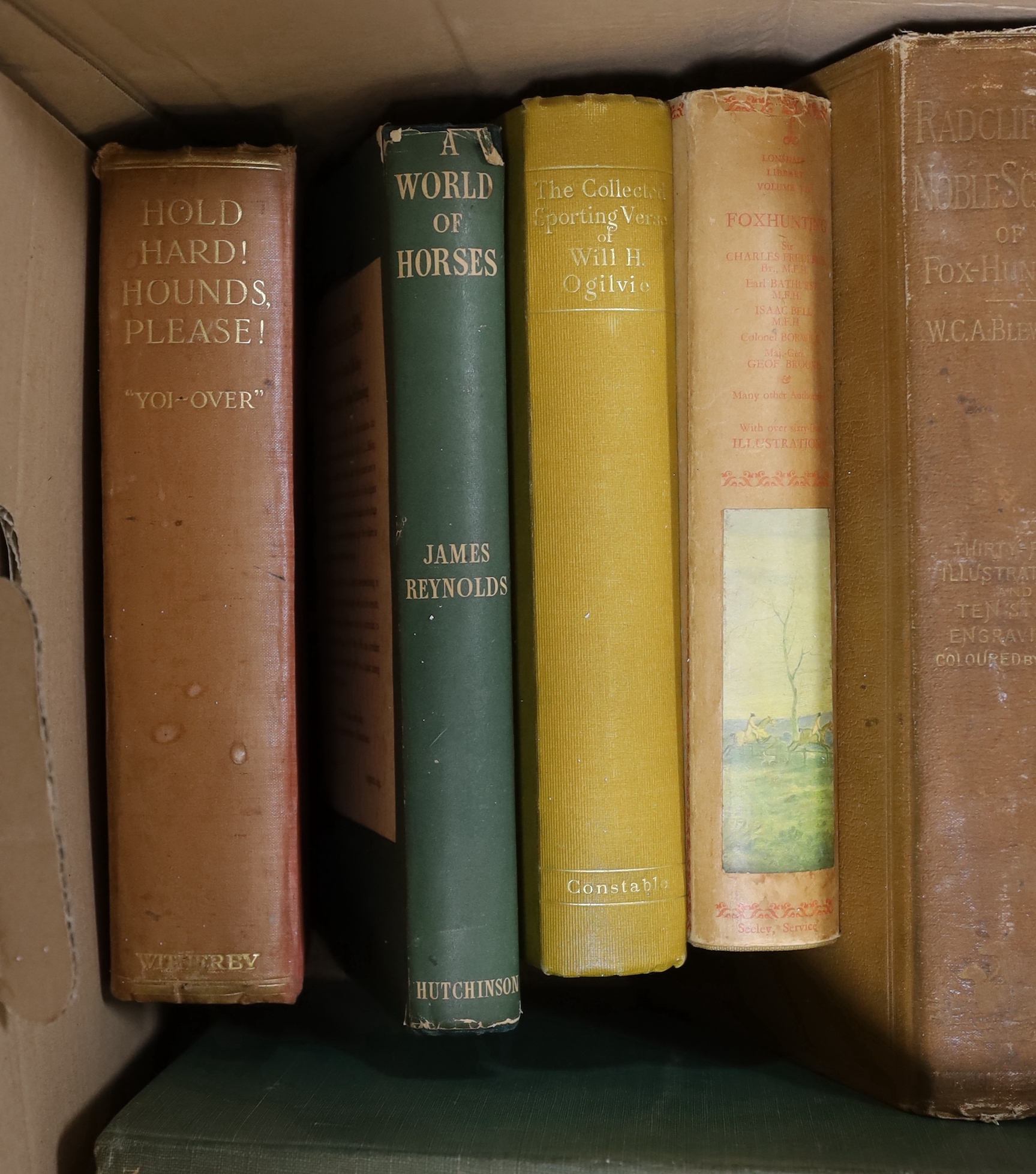 A collection of mixed “sporting “ books